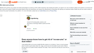 Reddit - Diatomaceous Earth & Bug Solutions