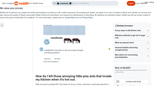 Reddit - Ant Control Solutions