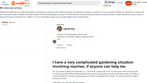 Garden Solutions - Roach-Repelling Plants for Zone 9b