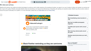 Reddit - Rare Meat Consumption Insights