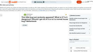 Reddit - Silverfish Insights