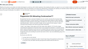 Peppermint Essential Oil - Homemade Cockroach Spray