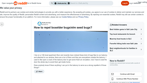Buggslayer - Effective Insect Control
