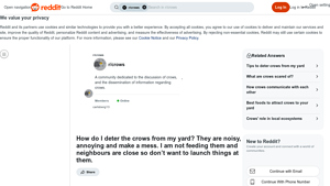 Reddit - Life Size Crow Models