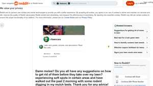 Reddit - Mole Bait Worms