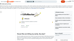 Reddit - Electric Fly Rackets & Traps