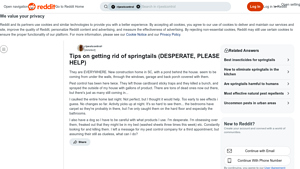 Bugspray - Effective Pest Control Products
