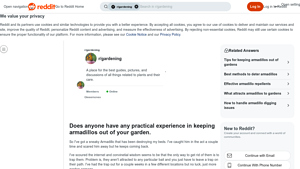 Armadillo Defense - Effective Garden Strategies