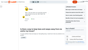 Reddit - Tips to Keep Bees and Wasps Away
