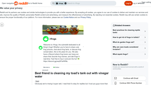Reddit - Vinegar Water Cleaning for Reptile Tanks