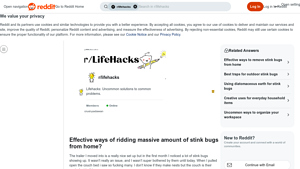 Reddit - Stink Bug Solutions