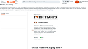 Reddit - Snake Repellents for Puppies