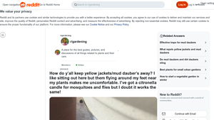 Reddit - Mosquito & Fly Solutions