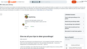 Reddit - Predator Urine Spray Solutions