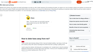 Reddit - Bee Deterrent Tips
