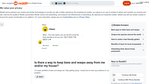 Reddit - Bee and Wasp Prevention Tips