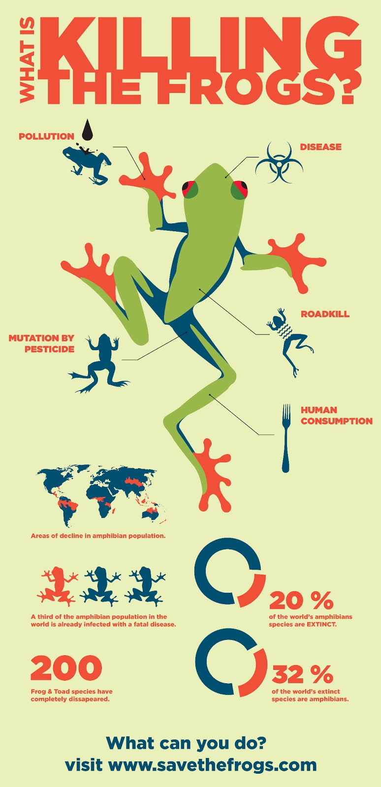 Illustrative image for repel frogs naturally