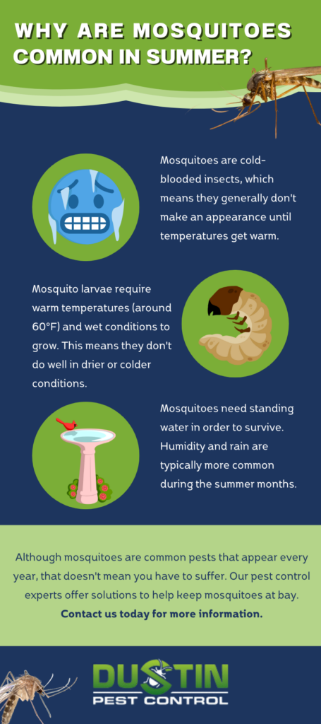 Illustrative image for repel springtails