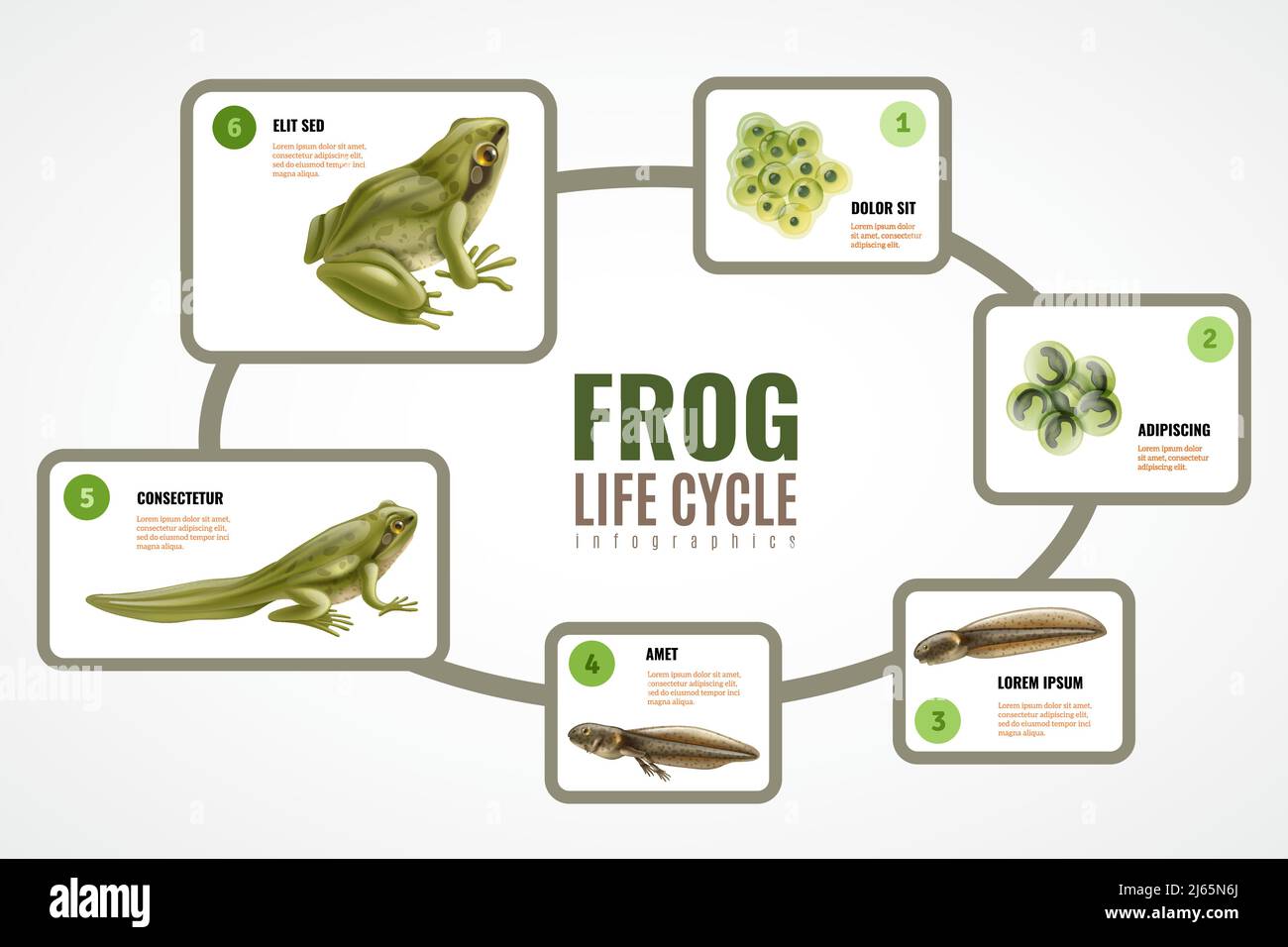 Illustrative image for repels frogs
