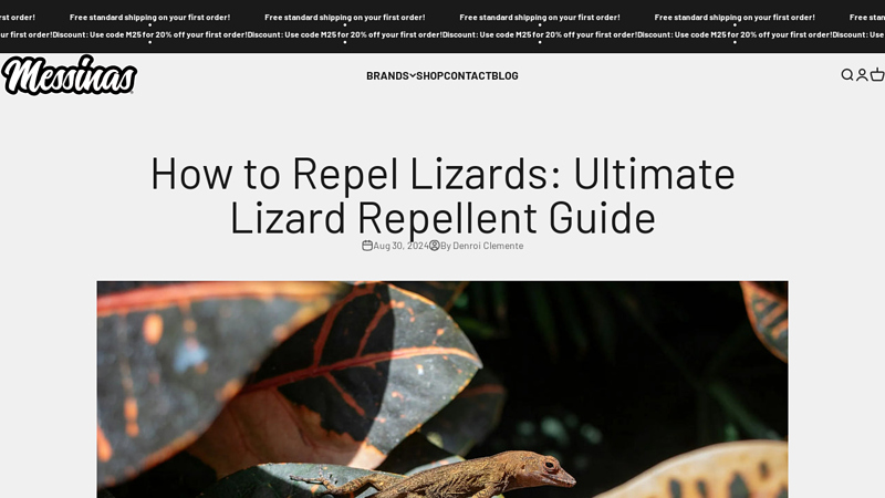 How to Repel Lizards: Ultimate Lizard Repellent Guide - Messinas