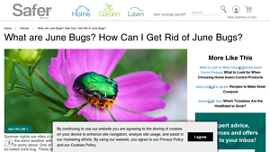 Safer Brand - Home Indoor Fly Trap
