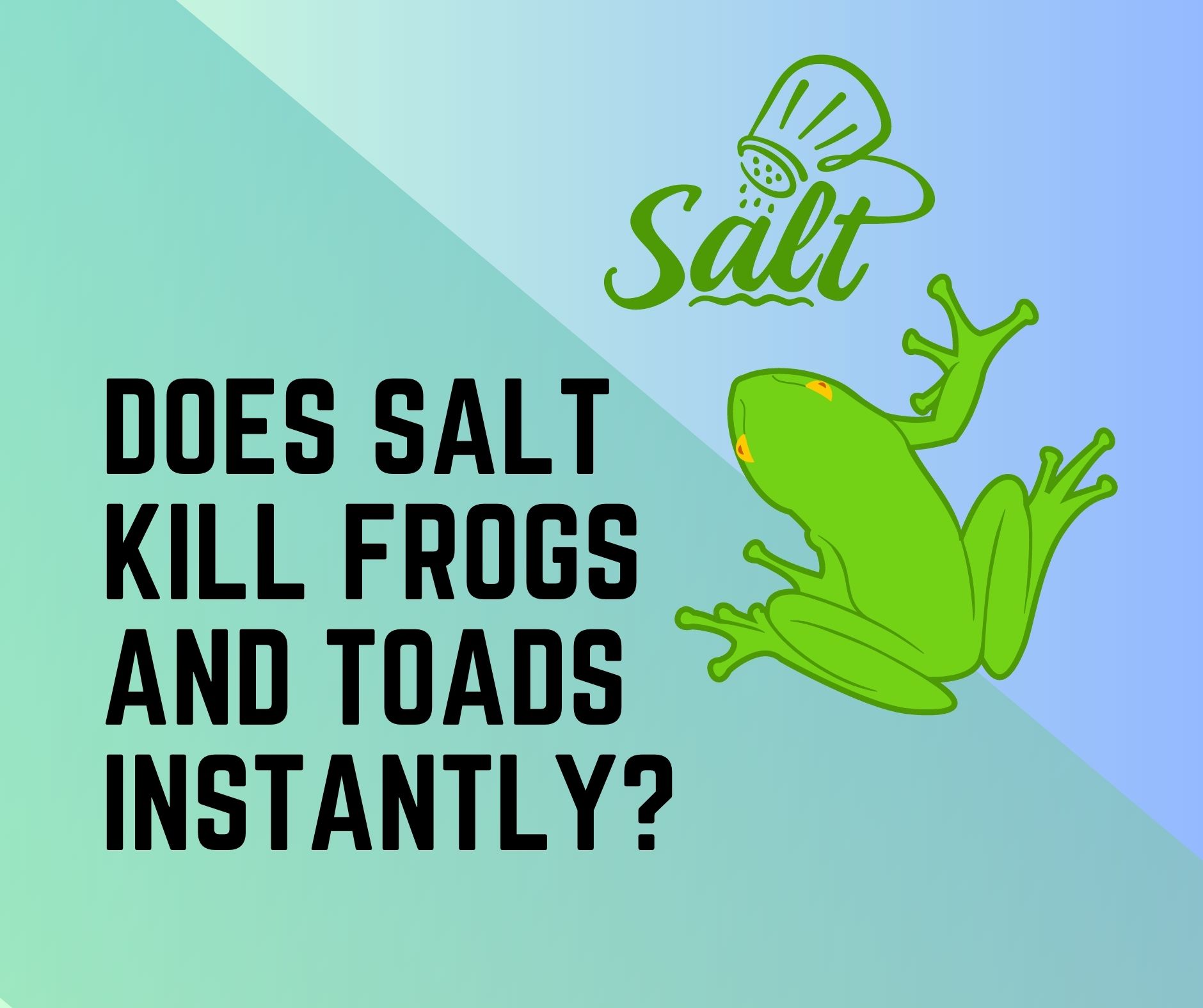 Illustrative image for salt kill frogs