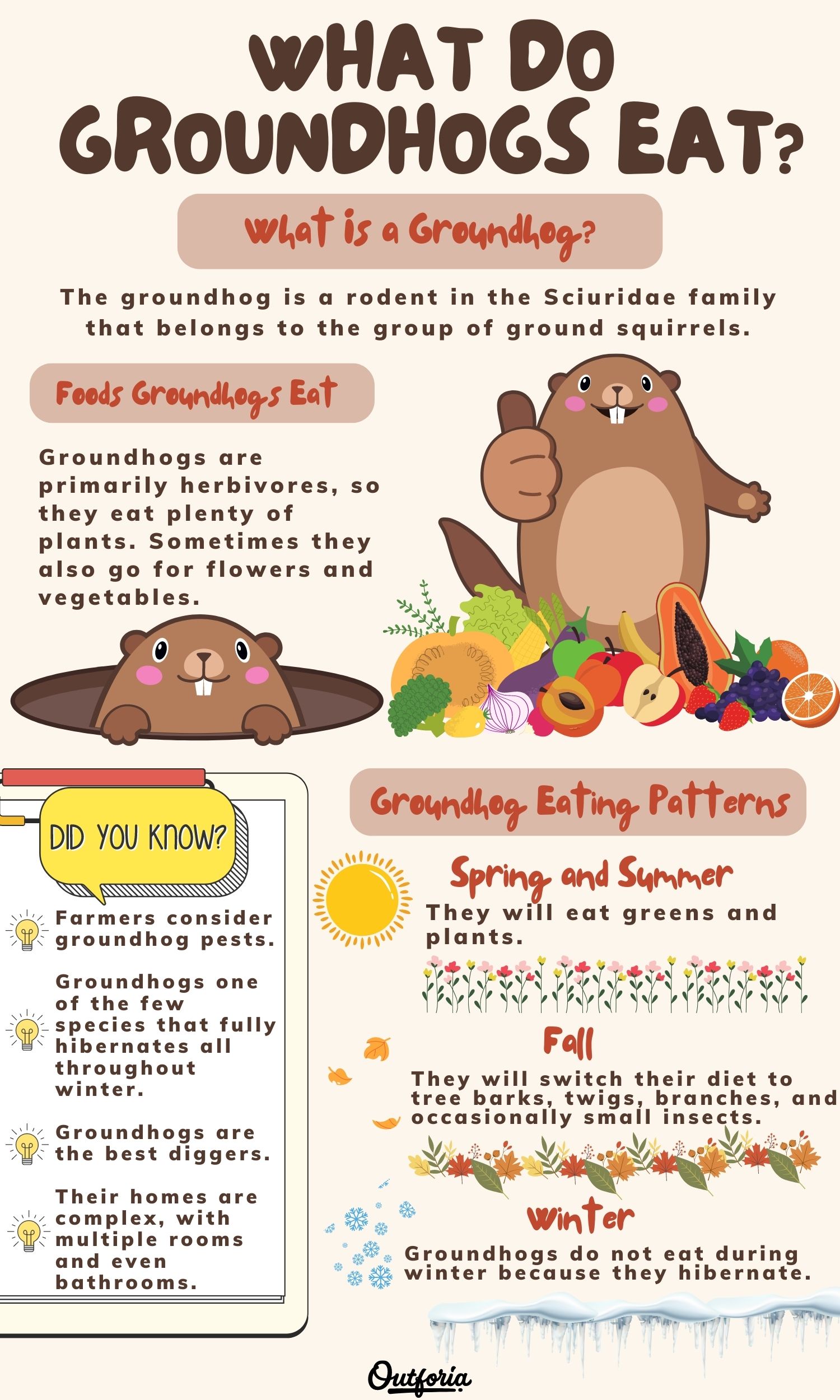 Illustrative image for scents do groundhogs hate