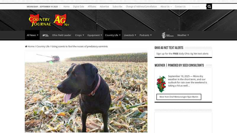 Using scents to fool the noses of predatory varmints