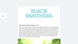 Black Panthers - Habitat Overview