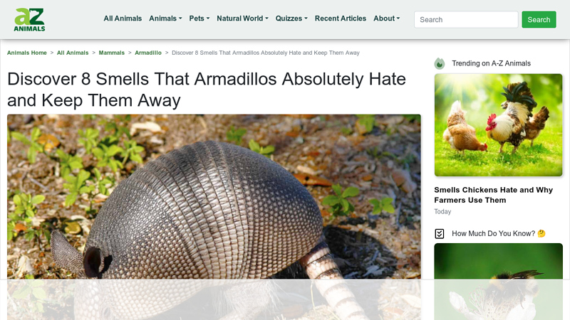 Discover 8 Smells That Armadillos Absolutely Hate and Keep Them ...