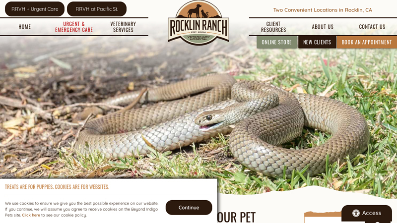 Natural Snake Repellents Can Protect Your Pet - Rocklin Ranch ...