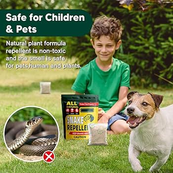 Illustrative image for snake repellent for yard safe for dogs