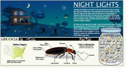 Illustrative image for solar insect lights