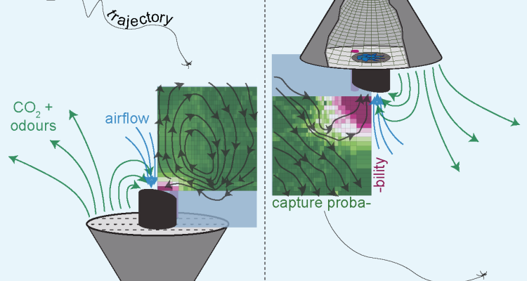 Illustrative image for solar mosquito trap