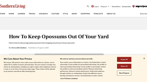 Southern Living - Composting Tips