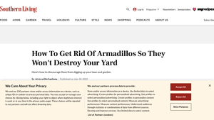 Southern Living - Armadillo Deterrents