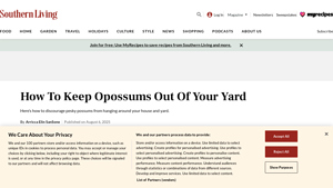 Southern Living - Humane Opossum Trapping