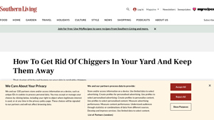 Southern Living - Diatomaceous Earth for Chigger Control
