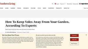 Southern Living - Effective Rodent Control Solutions