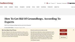 Southern Living - Garden Fencing Solutions