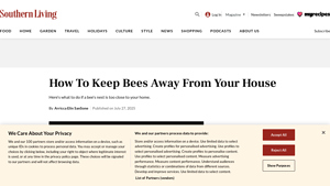 Southern Living - Household Trash Can Care