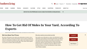 Southern Living - Mole Control Solutions