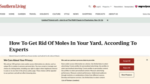 Southern Living - Effective Mole Control Solutions