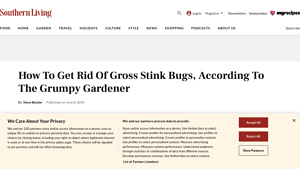 Southern Living - Natural Pest Control Solutions