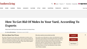 Southern Living - Mole Control Solutions