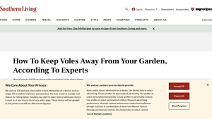 Southern Living - Rodent Control Solutions