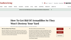 Southern Living - Armadillo Deterrents