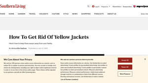 Southern Living - Wasp Spray Guide