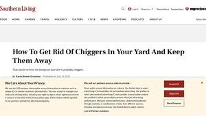 Southern Living - Natural Insecticide Solutions