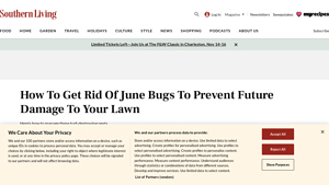 Southern Living - June Bug Control Solutions